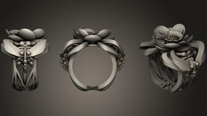 Jewelry rings (JVLRP_0484) 3D model for CNC machine